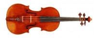 Violini e viole