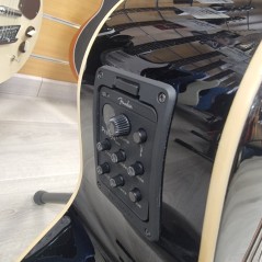 Fender Kingman basso acustico usato - vai con la sigla