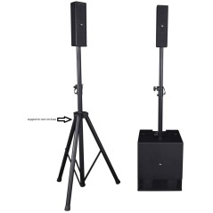 PROEL SESSION4 Sistema Audio Professionale a Colonna Mono/Stereo