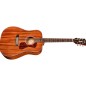 GUILD D-120 NAT