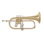 GRASSI GR SSFLH570 Flicorno Soprano school GRASSI GR SSFLH570 Flicorno Soprano school