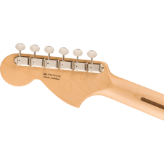 FENDER Stratocaster American Performer Timber edizione limitata - vai con la sigla