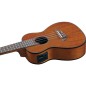Eko Duo Ukulele Concerto mogano eq Eko Duo Ukulele Concerto mogano eq