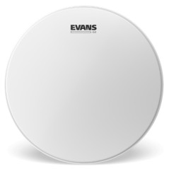 EVANS B10G2 Pelle sabbiata G2, 10 pollici