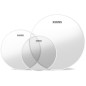 EVANS Confezione da 3 pelli trasparenti G2 per tom rispettivamente di 10 ", 12 " e 14 ", Fusion EVANS Confezione da 3 pelli trasparenti G2 per tom rispettivamente di 10 ", 12 " e 14 ", Fusion