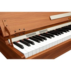 DONNER DDP-80 PLUS Piano digitale con tatsiera pesata graduata - vai con la sigla