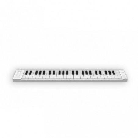 BLACKSTAR CARRY ON PIANO 49, tastiera usb portatile e pieghevole