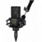 LEWITT LCT 240 PRO Microfono a polarità fissa e capsula ad alte prestazioni