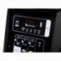 ITALIAN STAGE IS FRX10AW, cassa portatile a batteria