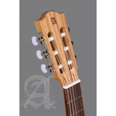ALHAMBRA Z-Nature chitarra classica spagnola con custodia - vaiconlasigla