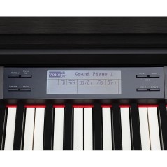 PIANO DIGITALE MEDELI DP-740K CON CABINET E TASTIERA K8 E MARS TECHNOLOGY - vaiconlasigla
